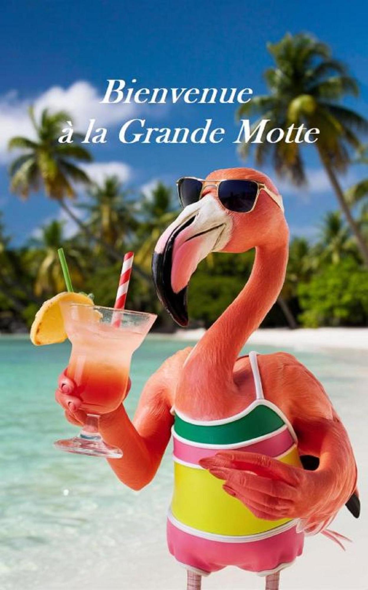 Mes Vacances A La Mer Studio 4 Pers, Parking Prive, Wifi, Linges Fournis, Climatisation La Grande-Motte Zewnętrze zdjęcie